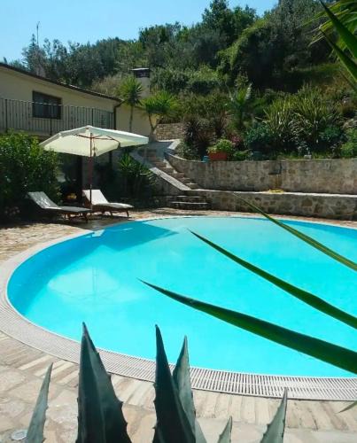 Archi Villa | Villa Migi