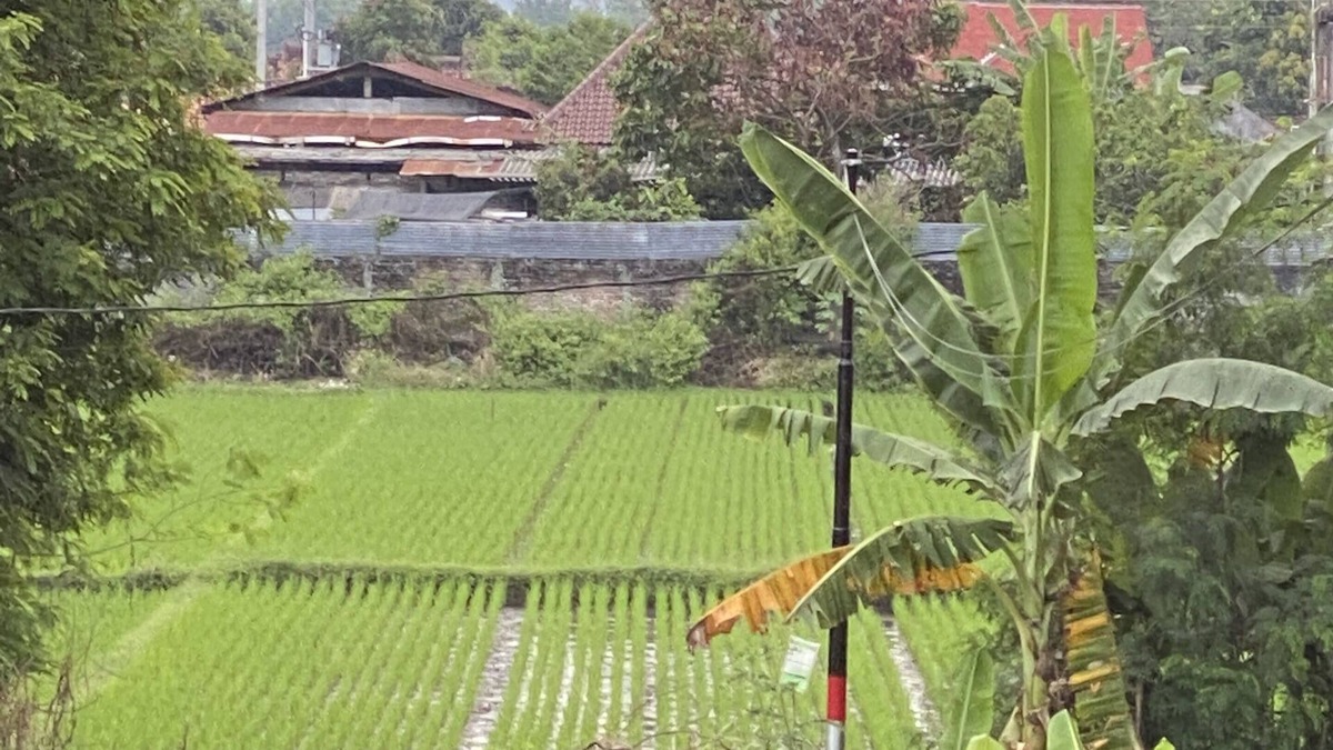 Sewon Villa | VILLA MIKE