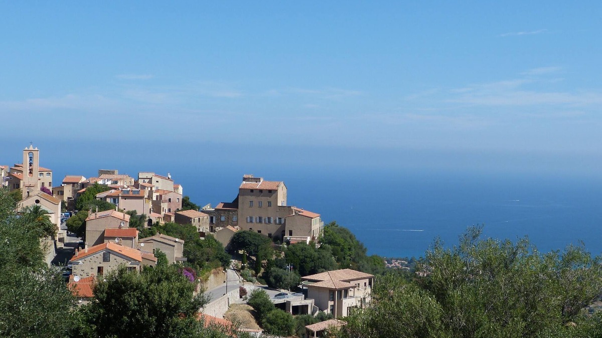 Monticello Villa | Villa OLIVEA 4 stars with SPA in Monticello Corsica