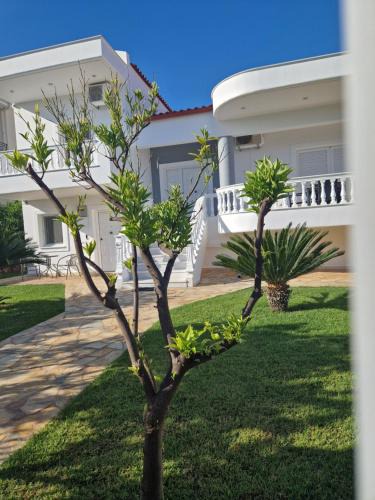 Kato Assos Villa | Villa Orangerie - Where Luxury Meets Serenity