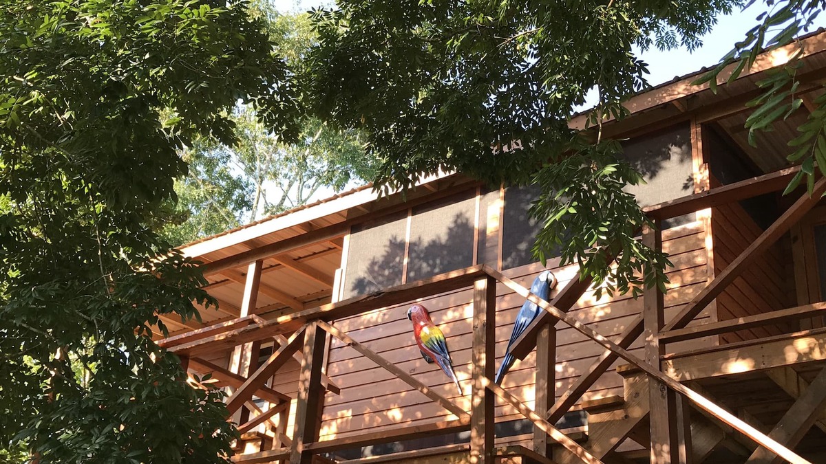 Mount Hope Cottage | Villa Parrot - new house within the trees