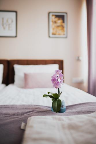 Polanica-Zdroj Bed & Breakfast | Villa Paula