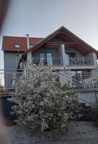 Verpelet Bed & Breakfast | Villa Rigo Panzió