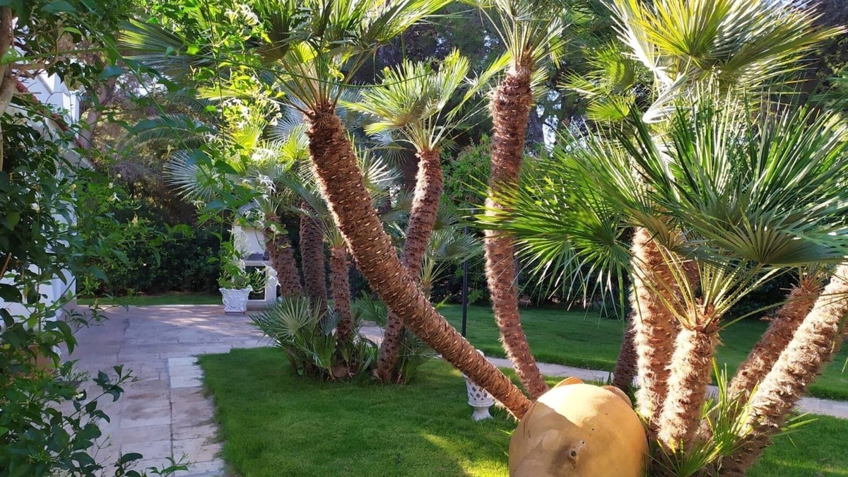 Rosa Marina Villa | Villa Rosa Marina 100 meters from the sea