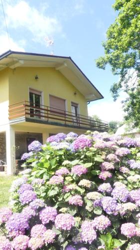 Villa Bascilica Apartment | Villa Rosandra Pizzorne