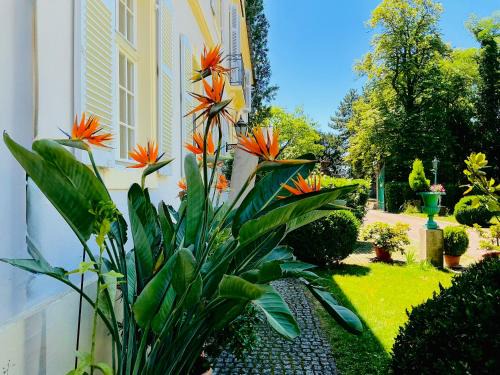 Oberrimsingen Apartment | Villa Schloss Rimsingen Fine Apartments