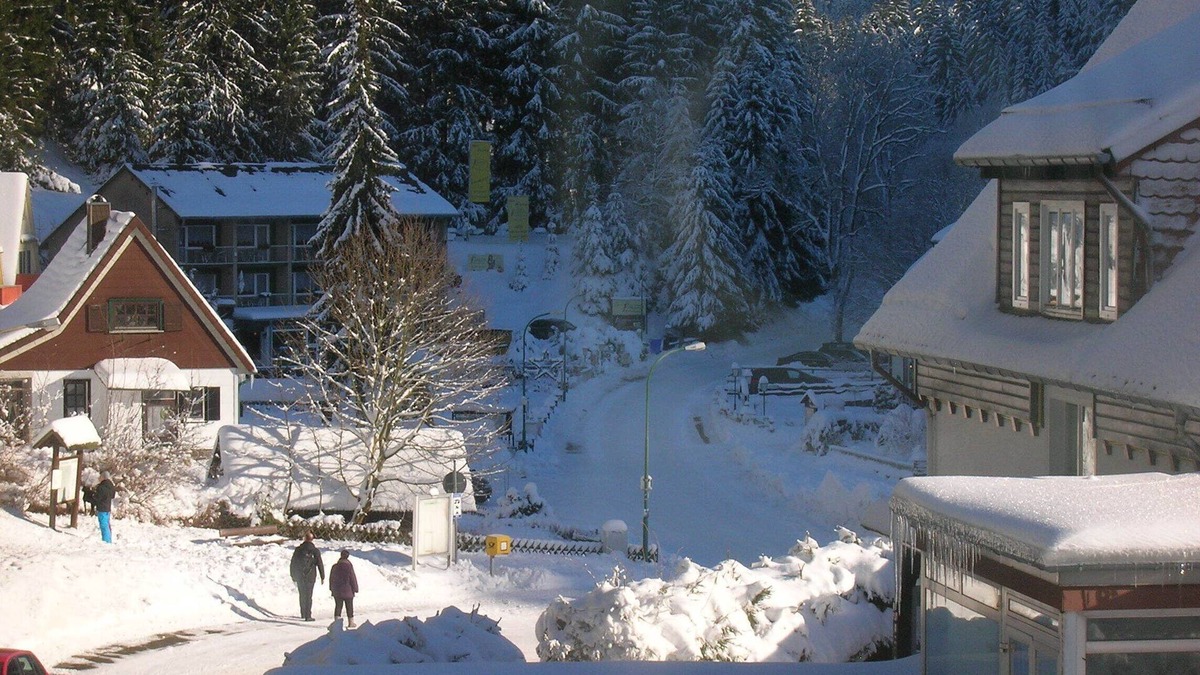 Wildemann Apartment | "Villa Schöber " Cozy vacation apartment on the edge of the forest for 4 people