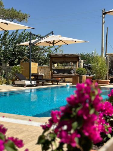 Seferihisar Bed & Breakfast | Villa Seferis