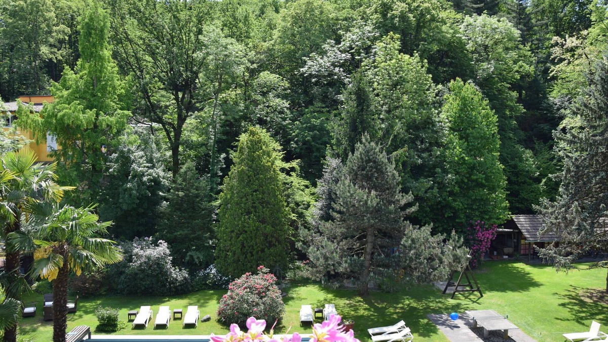 Losone Hotel | Villa Siesta Park