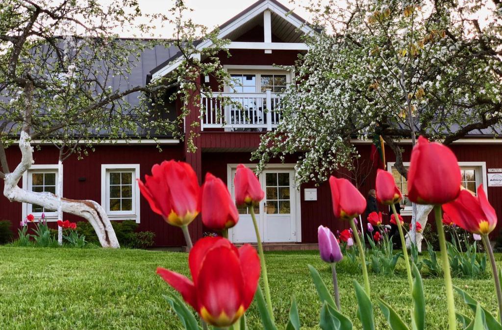 Trakai Villa | Villa Sofia Boutique Trakai