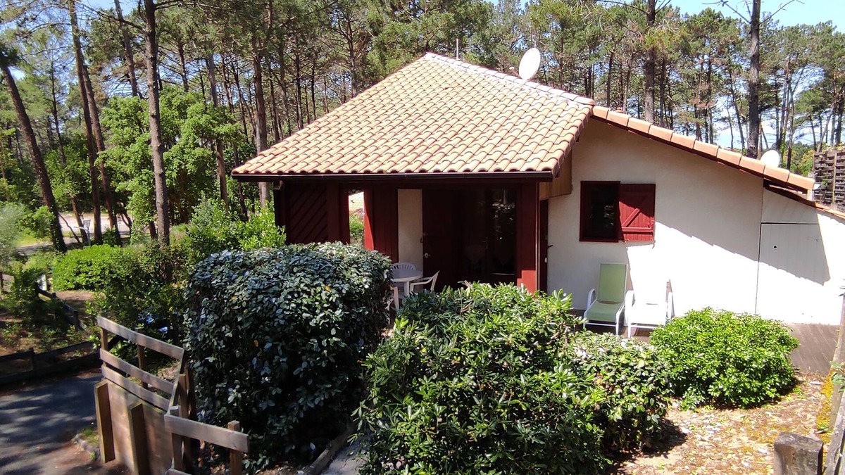Moliets-et-Maa House | Villa/Studio under the pines, near the ocean and golf course -Pool -Large terrace