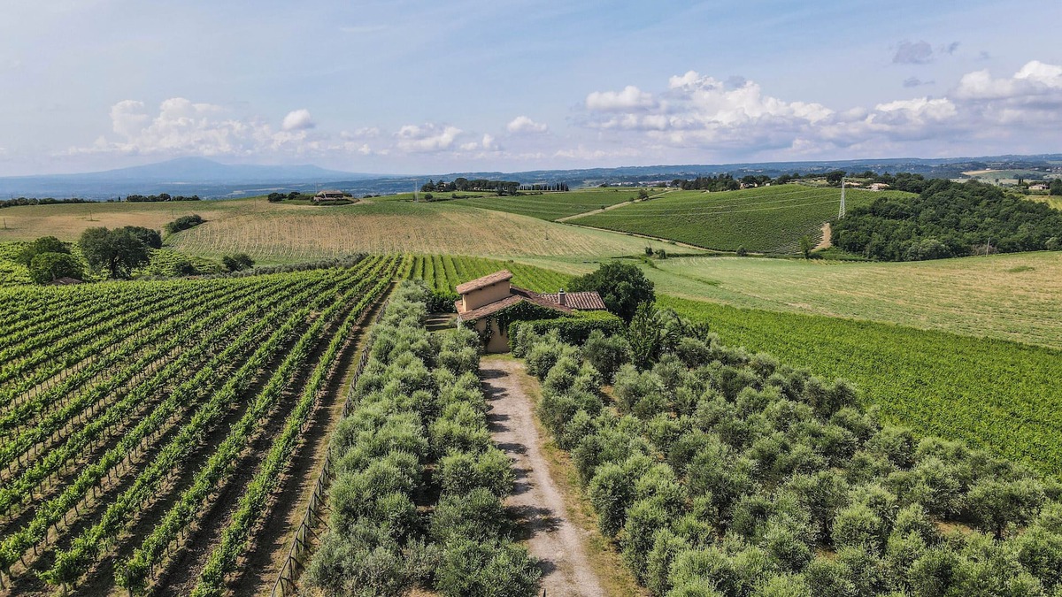 Montecchio Villa | Villa surrounded by vineyards with private pool near Orvieto