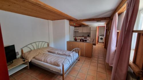 Hofstetten Apartment | Villa Theresa Apartments