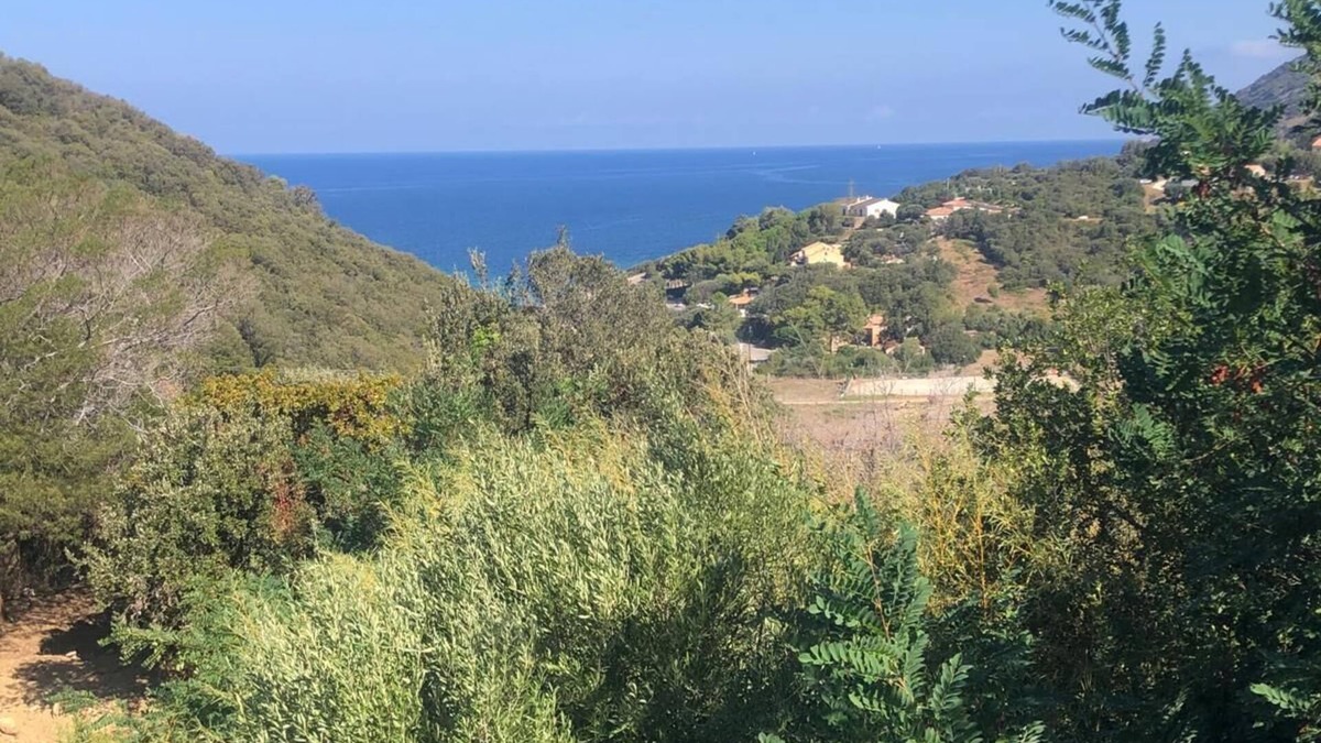 Braccolaccia Villa | Villa Torre Blanca in Farinole