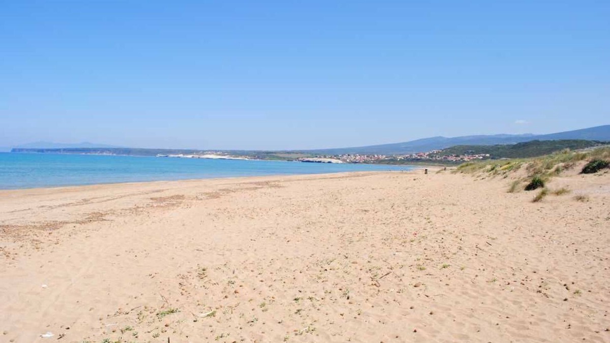 Narbolia Villa | Villa under pine trees by the sea