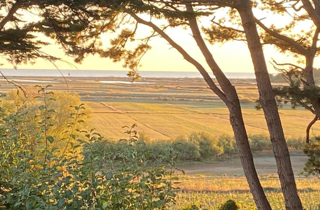 Billiers House | Villa Vieilles Vignes vue mer