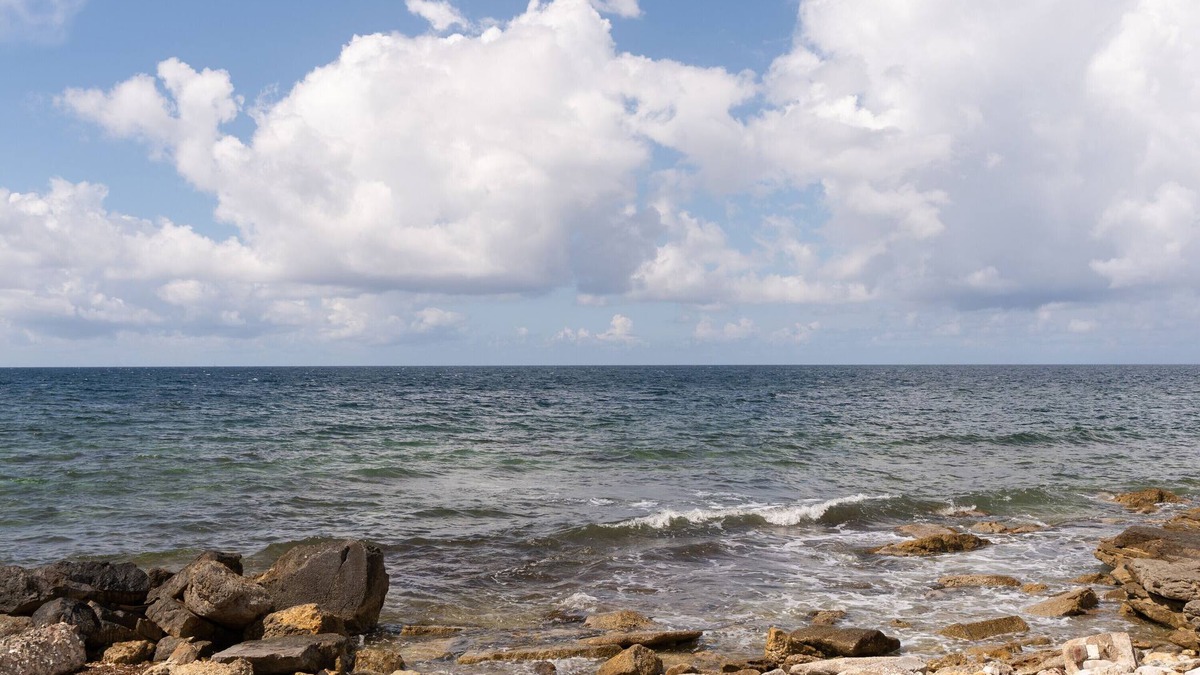 Pizzolungo Villa | Villa 'Villetta Vista Mare e Monte' with Sea View, Private Terrace and Garden