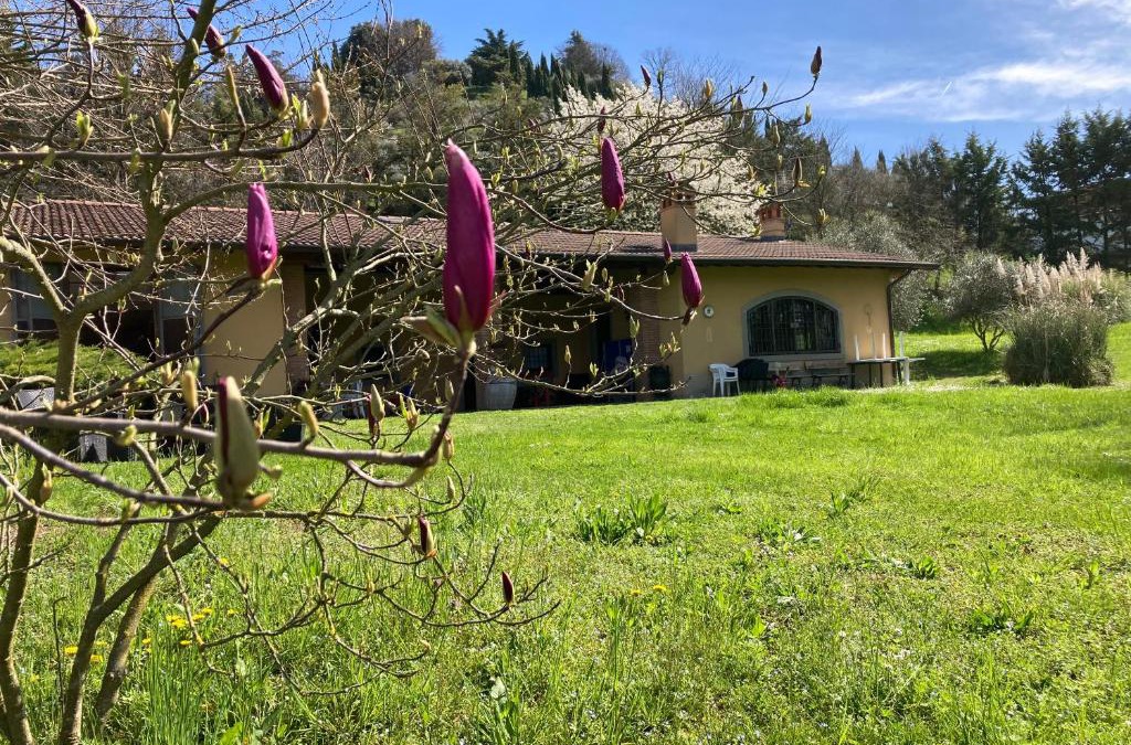 Cenate Sotto Bed & Breakfast | Villa Vinea Prisca B&B