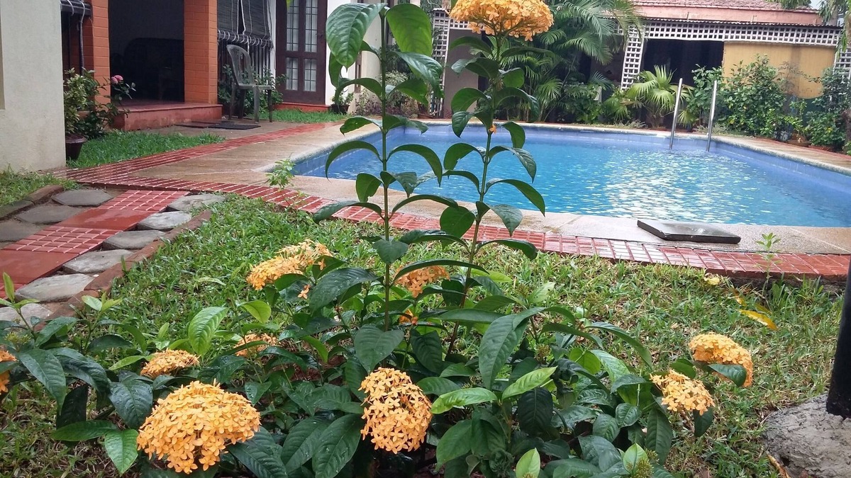 Vadanemelli Villa | Villa with a private swimming pool.