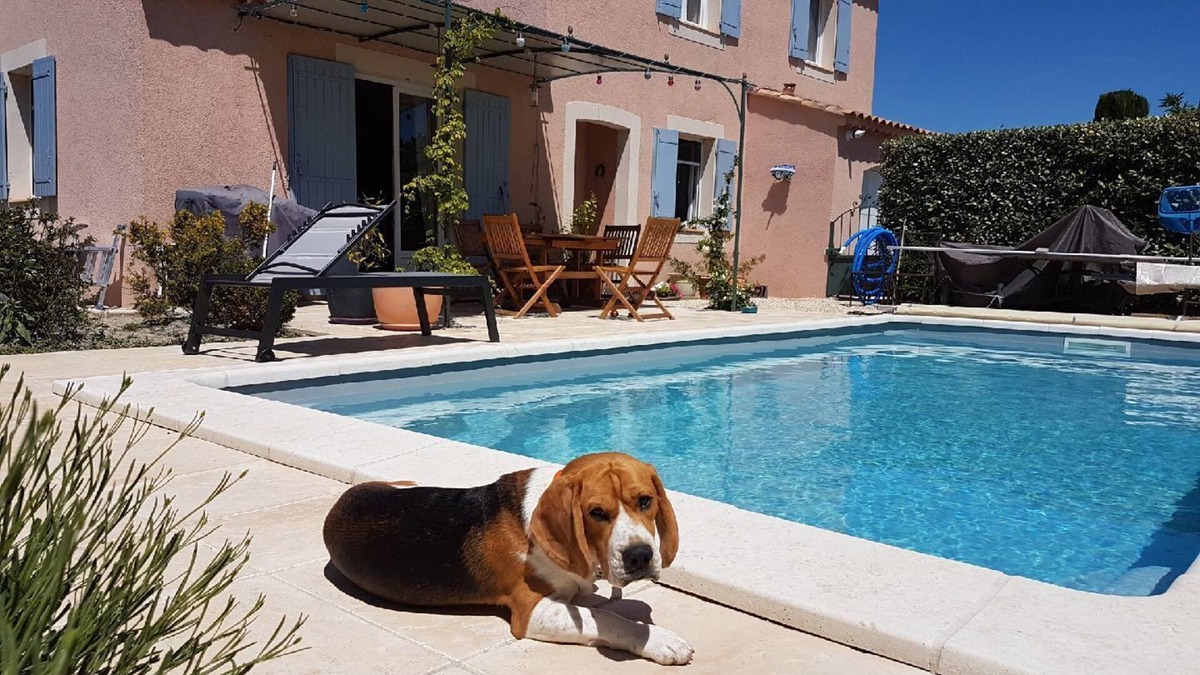 L'Isle-sur-la-Sorgue House | Villa with swimming pool 3 bedrooms 12 min walk from the city center