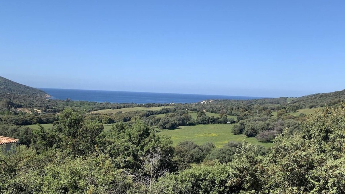 Cargese House | Villa with pool, between olive trees and sea - fantastic view!