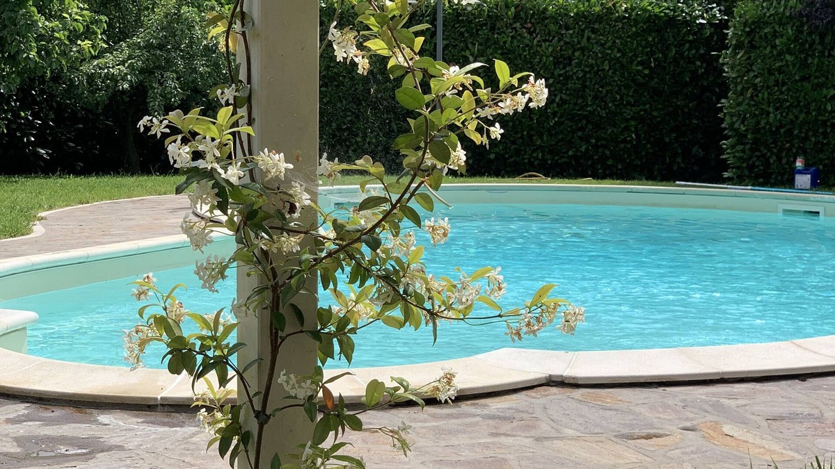 Forestella Villa | VILLA WITH POOL FOR RELAXATION