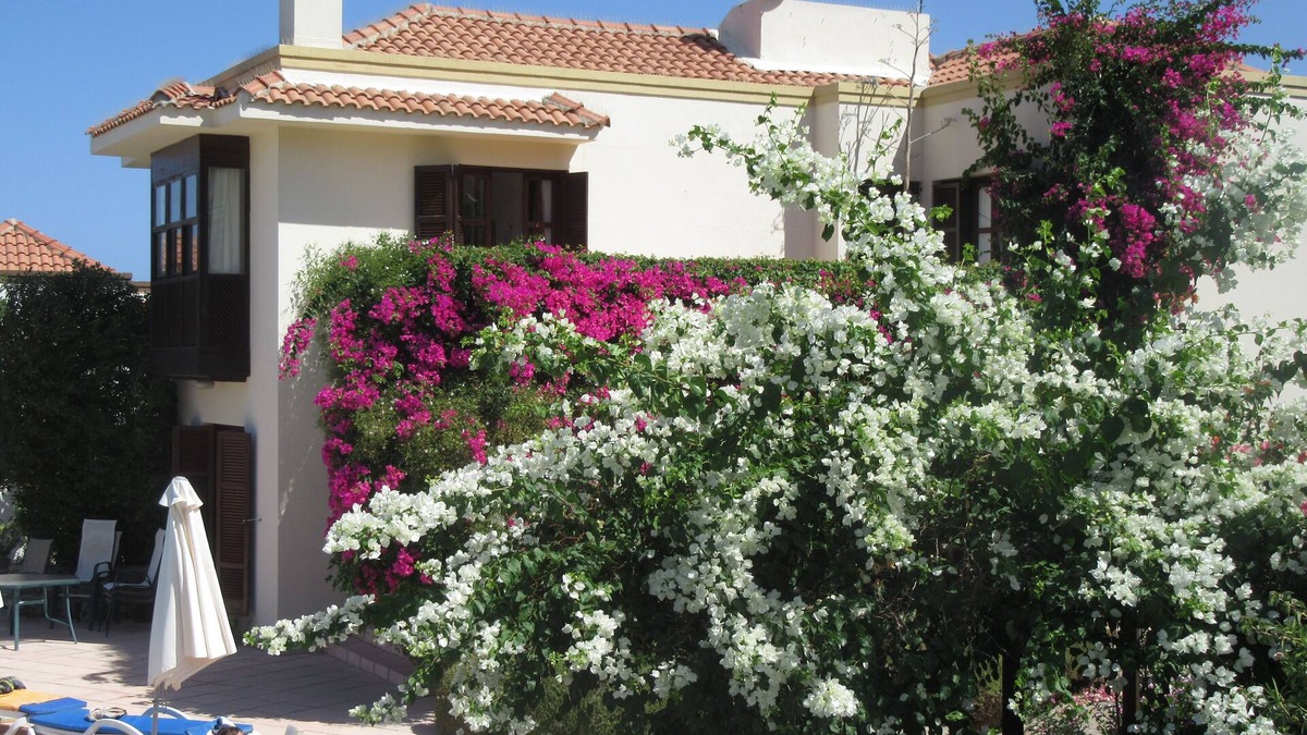 Dogankoy Villa | Villa with Pool. Stunning Sea and Mountain Views. Pool and large mature garden