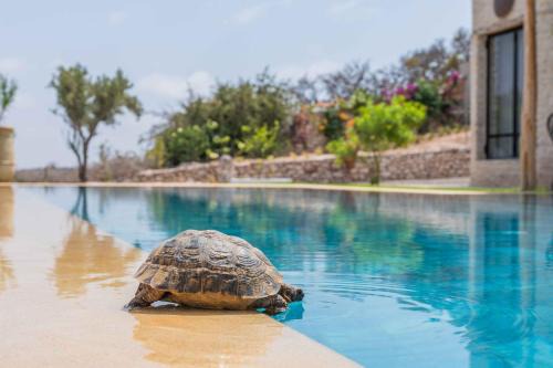 Ida Ougourd Villa | Villa Yassif