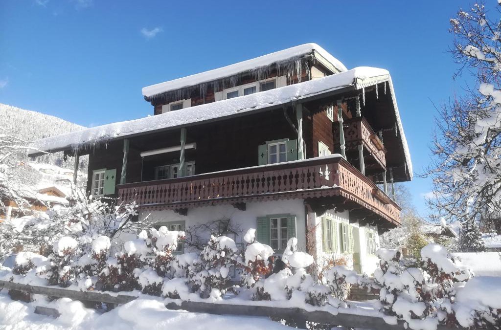 Muhlbach im Pinzgau Apartment | Villa Zeppelin - App Aquamarin