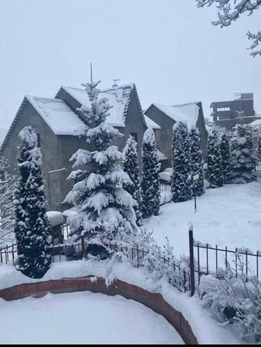 Tsaghkadzor Apartment | Villadzor Apart Hotel
