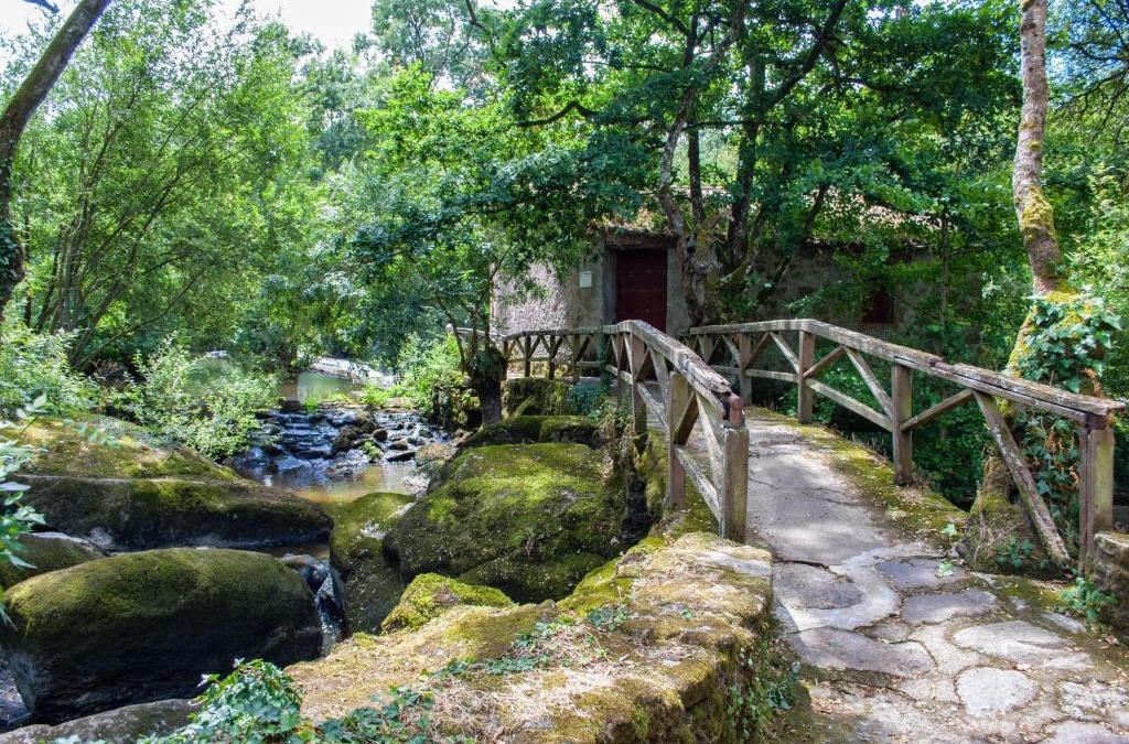 Getigne Resort | Village de Gîtes du Moulin Neuf