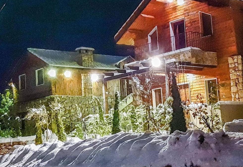Mayrouba Ski Chalet | Villars