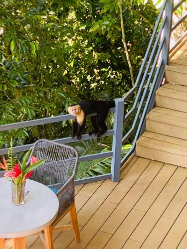 Playa Tortuga Villa | Villas en el Bosque