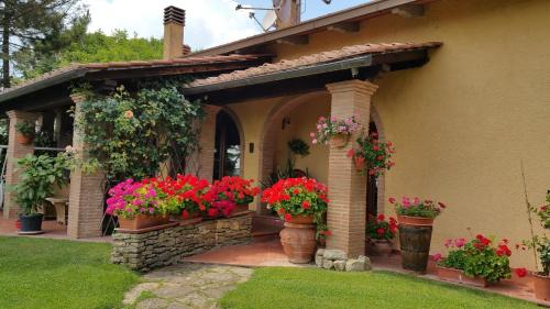Capolona Bed & Breakfast | Villaspino