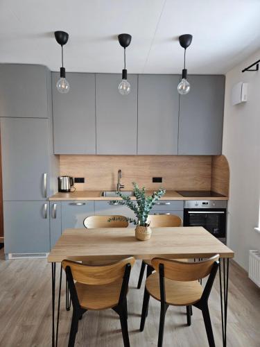 Vilnius city municipality Apartment | Vilniaus apartamentai