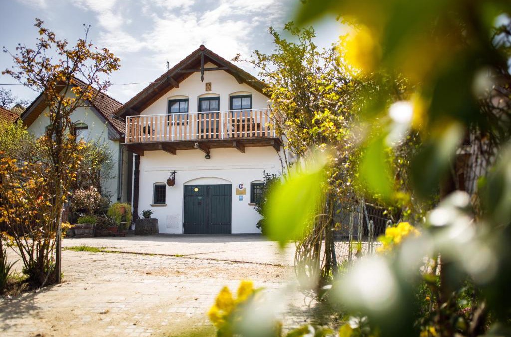 Novy Saldorf-Sedlesovice Apartment | Vinařský apartmán Špalek