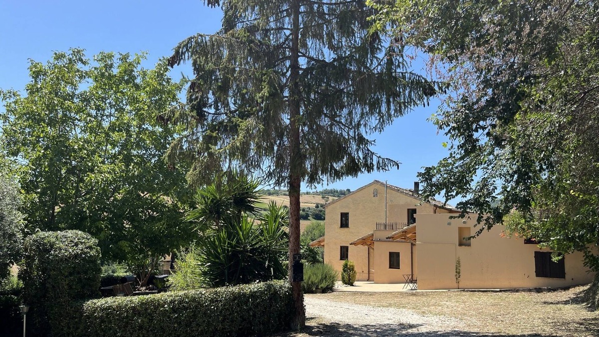 Massignano Other | Vineyard Farmhouse in Massignano - just minutes from the beach
