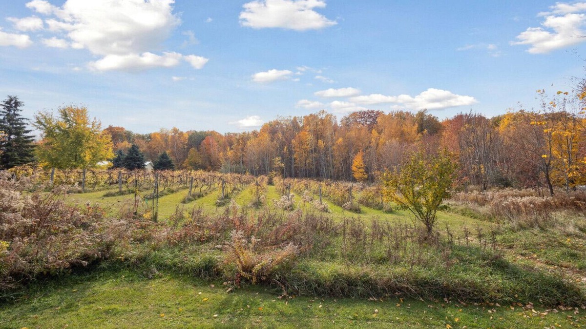 Morrison House | Vineyard View near Winery in Country Side
