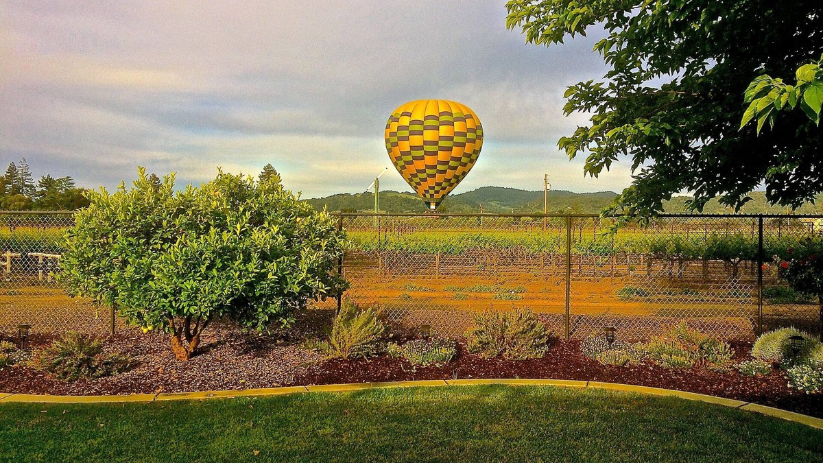 Napa House | Vineyard Views in the Heart of the Napa Valley