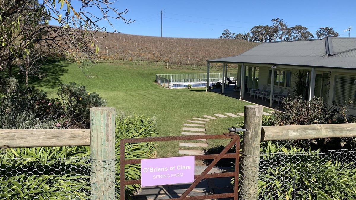Spring Farm House | Vineyard views, large deck, Pet friendly, WiFi, Netflix, Pool, Firepit, Aircon