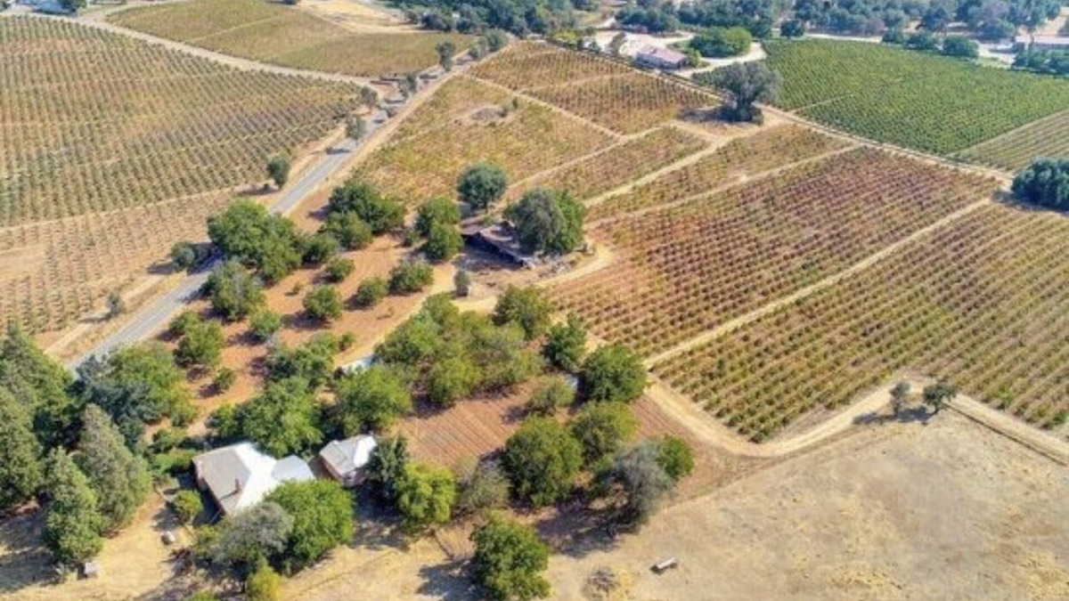 Shenandoah Valley Other | Vintage Farmhouse on 50 acres surrounded by vineyards - Farmhouse experience