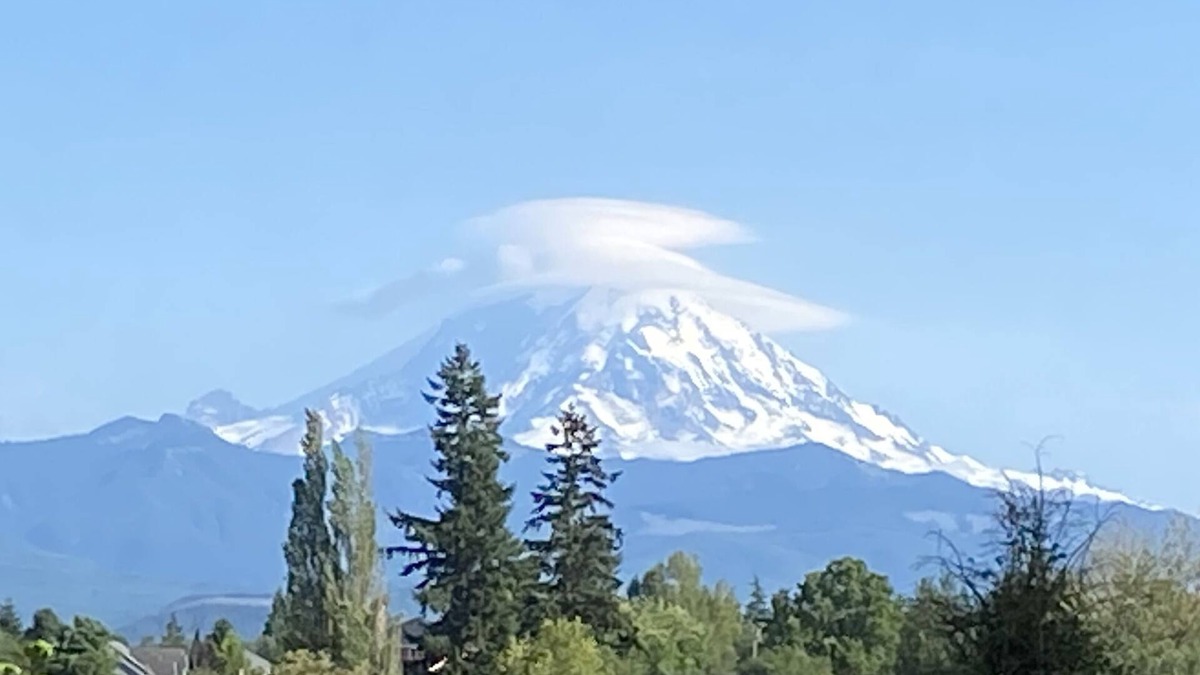 Tacoma House | Vintage Sunline Trailer with View of Mt Rainier, 1hr from Mt Rainier