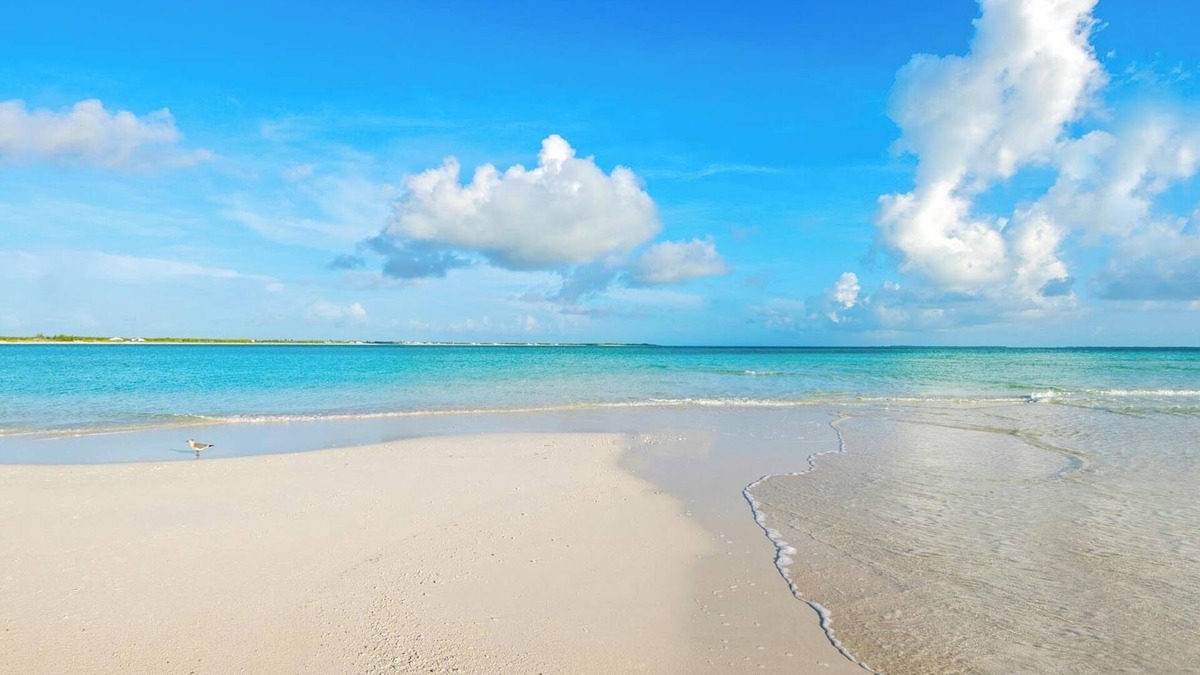 Treasure Cay Resort | VIP Beachfront - Large & Luxurious - End Unit