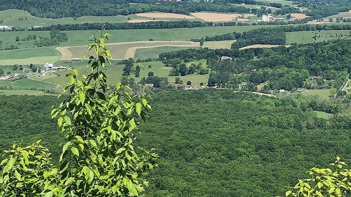 Afton House | Virginia Ski House at Afton - More details coming soon!
