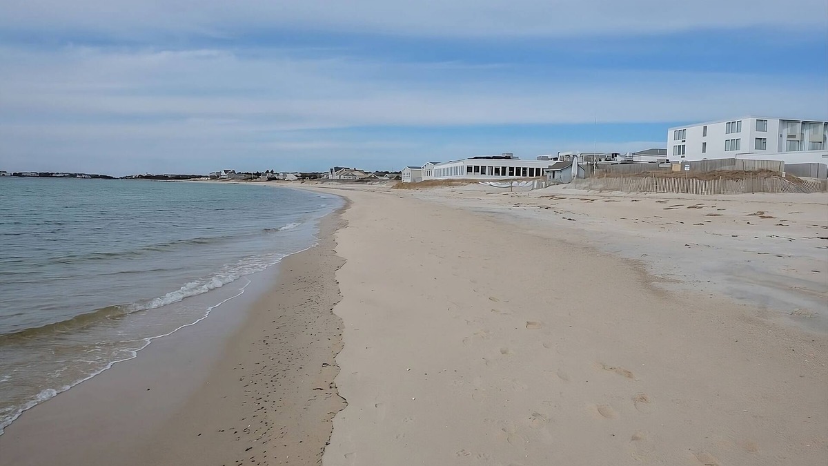 Silver Beach House | Visit Ashumet Holly Wildlife Sanctuary! 4 Spacious Units, Pets Allowed, Pool!