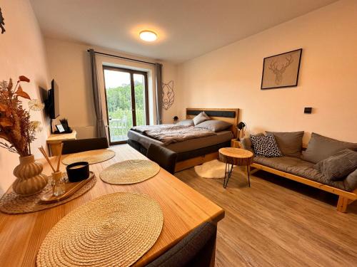 Rokytnice nad Jizerou Apartment | Vista 14