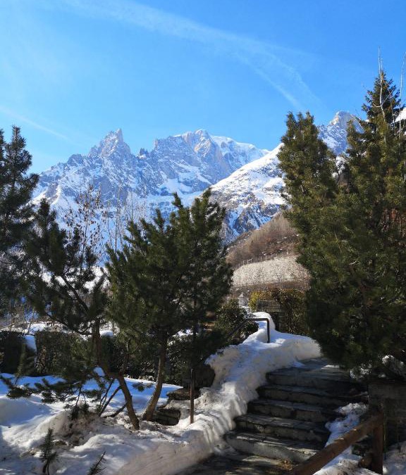Entreves Apartment | vista monte Bianco