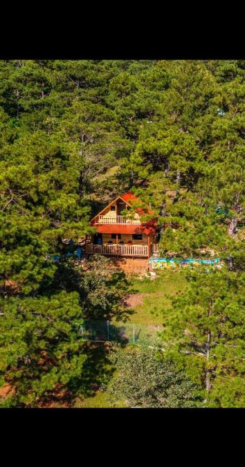 San Ignacio Ski Chalet | Vista pinares