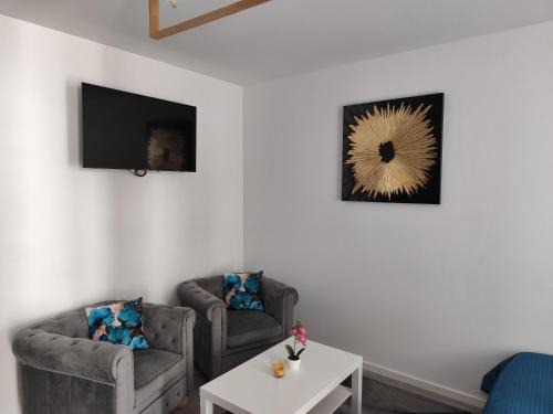 Baia Mare Apartment | Vivien Residence