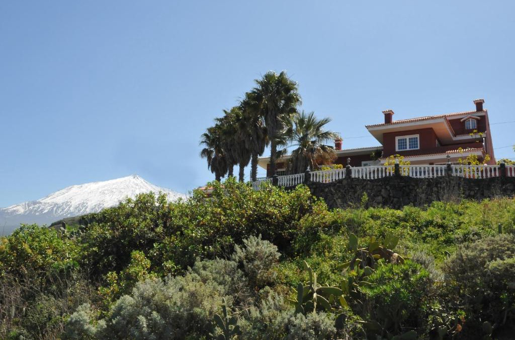 Icod de los Vinos House | Vivienda Vacacional Paseo Mirabal